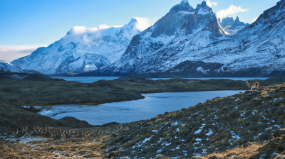 State of the Climate in Latin America and the Caribbean in 2021