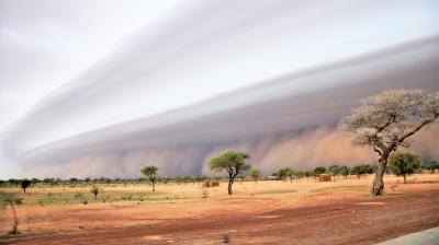 UNCCD: Step up action on drought